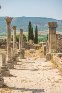 best-things-to-do-fes-volubilis-meknes-day-trip-13